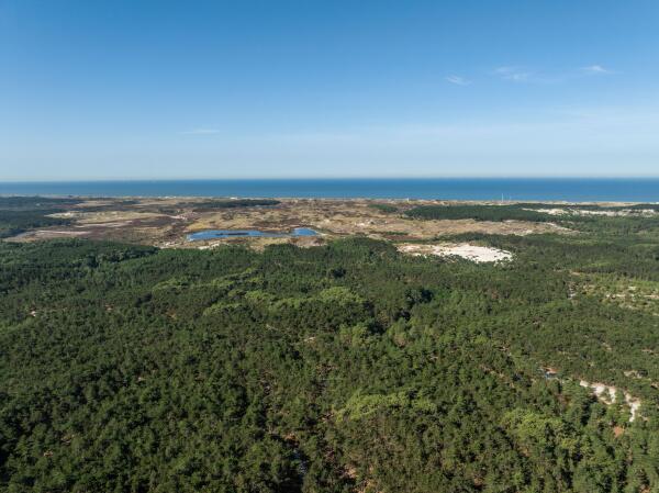 photo 56 Achterpad 1 a